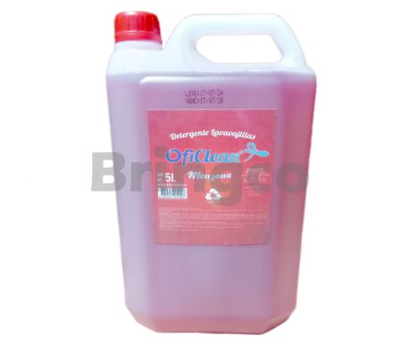 Detergente Lava Vajillas Oficlean Manzana 5 L und (Br)