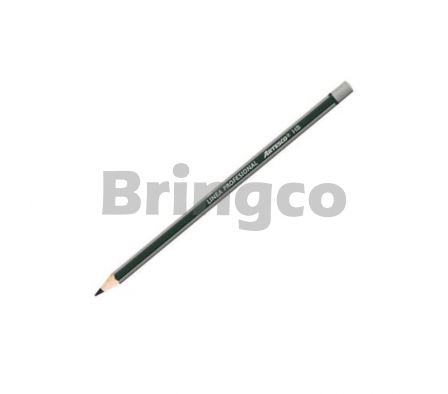 Lapiz de Papel sin Borrador Artesco HB Verde/Gris und (Br)